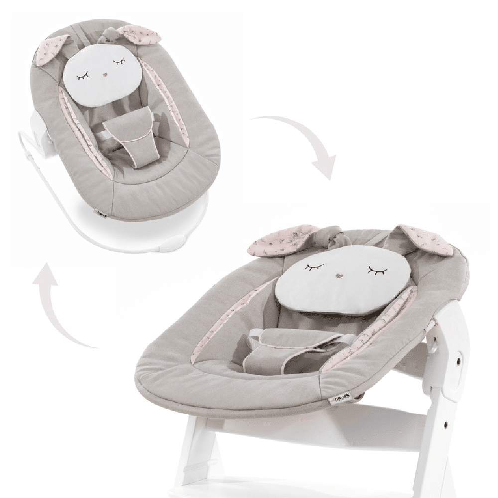 2 in store 1 baby bouncer