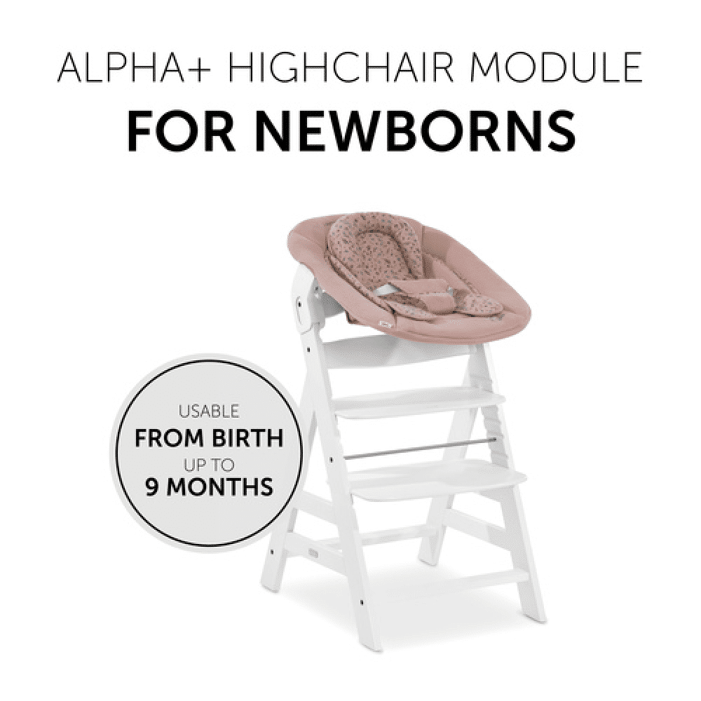 Hauck alpha best sale plus newborn set